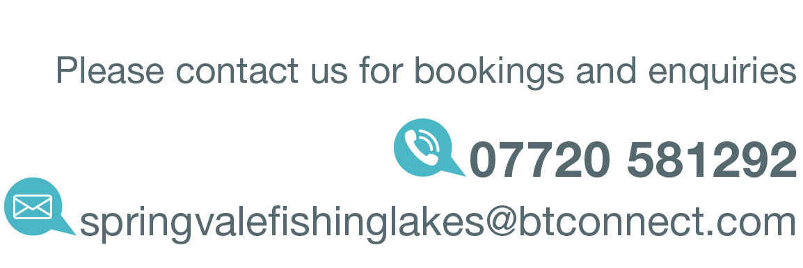 Click here to email Springvale Fishing Lakes in Nottinghamshire